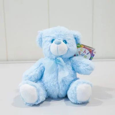 Osito de Peluche Azul.